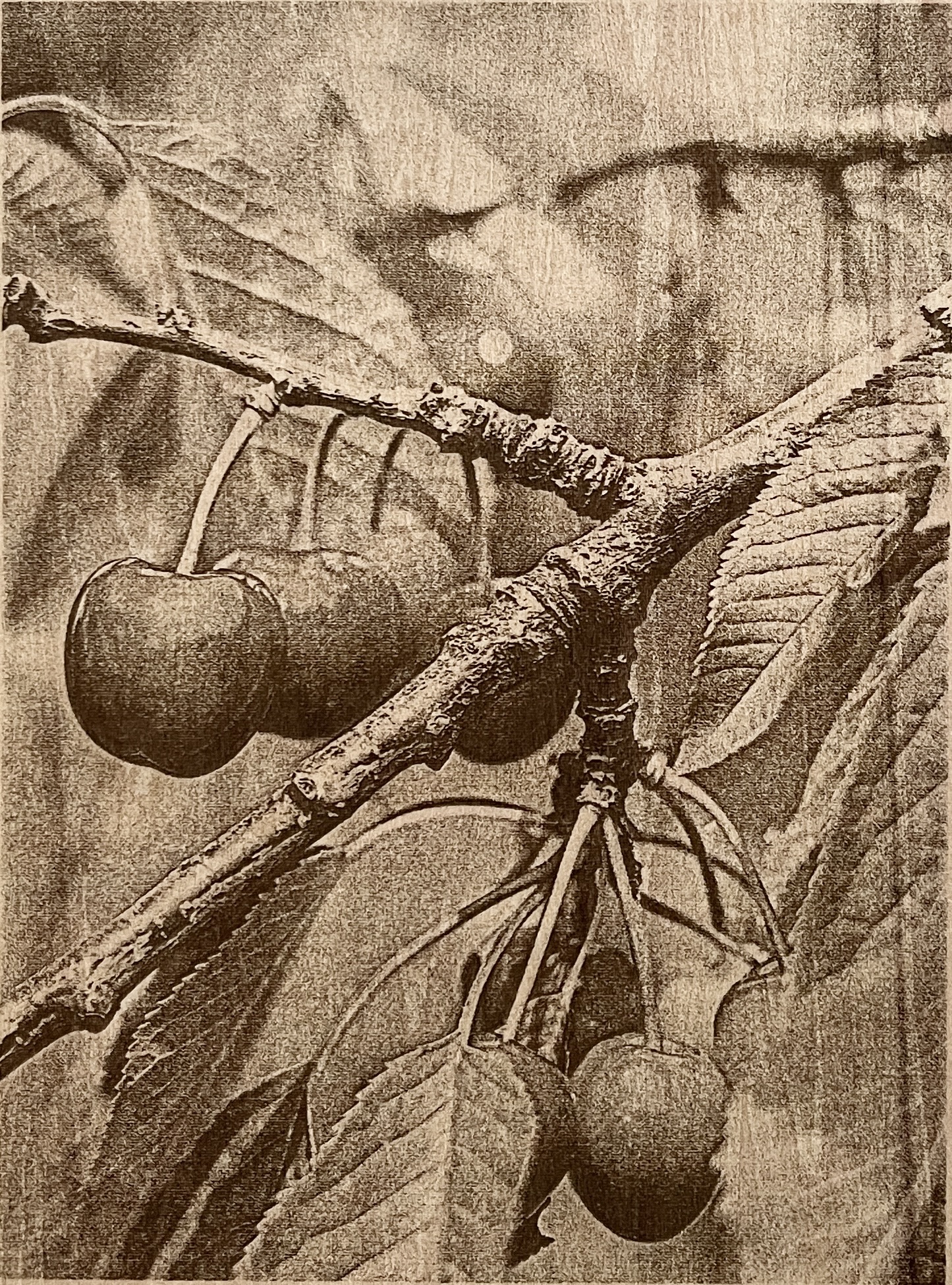 Right Image