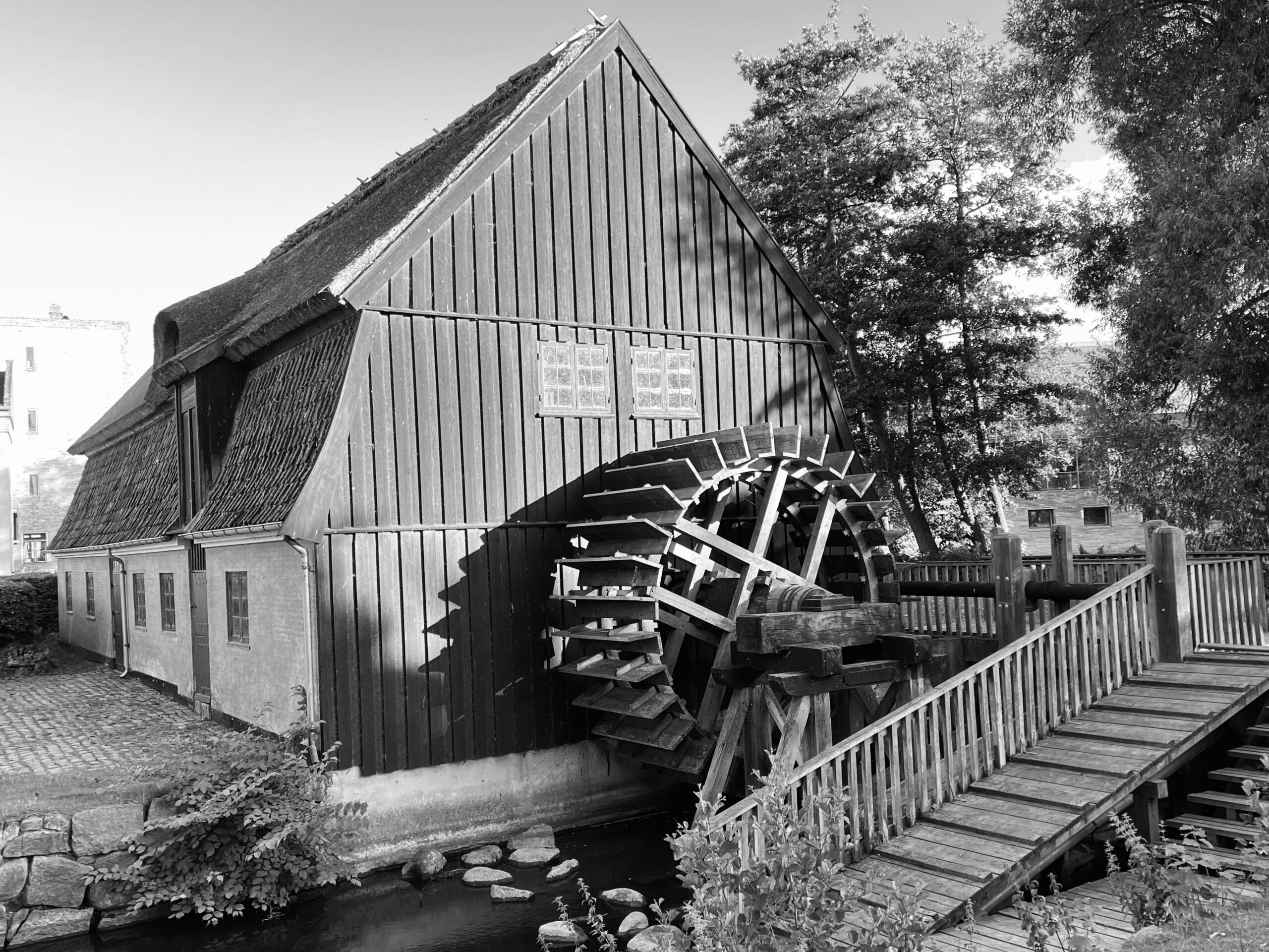 Left Image